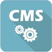 Icon image for web development cms