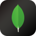 Icon image for MongoDB (NoSQL) database